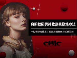 Chic原醉《高阶校园男神收割机修炼心法》网盘下载-恋爱猫