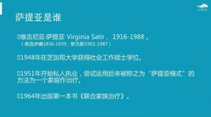 [2.6GB]丛非从《萨提亚模式理论技术及应用，如何重构家庭积极系统》共20讲-恋爱猫