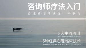 [26.8GB]【壹心理】心理咨询技术与疗法入门（完结）-恋爱猫