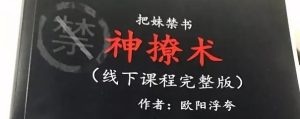 欧阳浮夸《神撩术》pdf电子版/无水印-恋爱猫