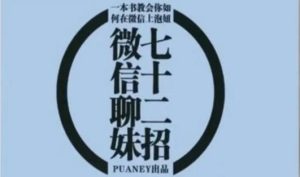《微信撩妹72招》pdf电子版/无水印-恋爱猫