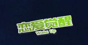 爱上情感《恋爱觉醒》(成长第一步,先醒悟过来)-恋爱猫