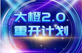 高大橙《大橙2.0重开计划》新更新版 价值2499-恋爱猫