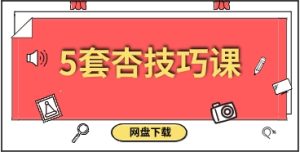 5套杏技巧课-恋爱猫