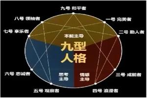 赛维《人格密码》12节完整版-恋爱猫