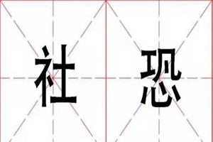 安老师《社恐训练营》-恋爱猫