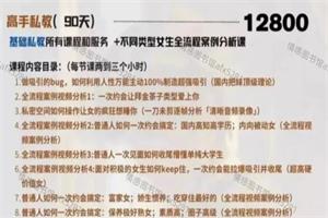 ran高手私教8节全-恋爱猫