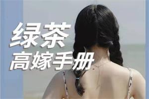 《绿茶高嫁手册》PDF-恋爱猫