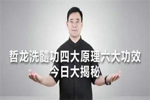 哲龙《强肾洗髓功》-恋爱猫