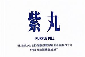 锵锵三分钟《紫丸》PDF-恋爱猫