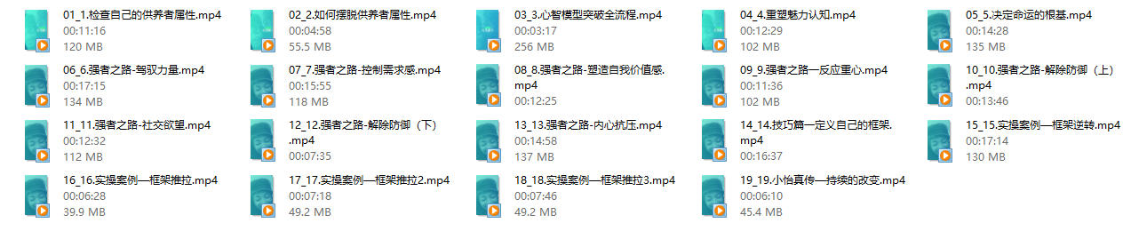 13015218528