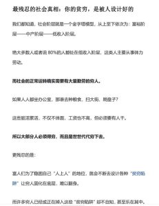 老实人破局指南-恋爱猫