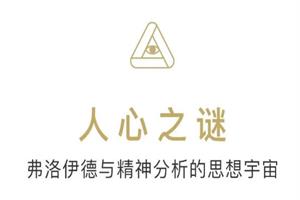 人心之谜:弗洛伊德与精神分析的思想宇宙-恋爱猫