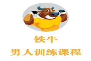 铁牛会员课程-恋爱猫