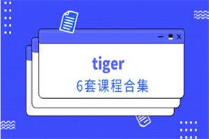 tiger《6套课程合集》-恋爱猫